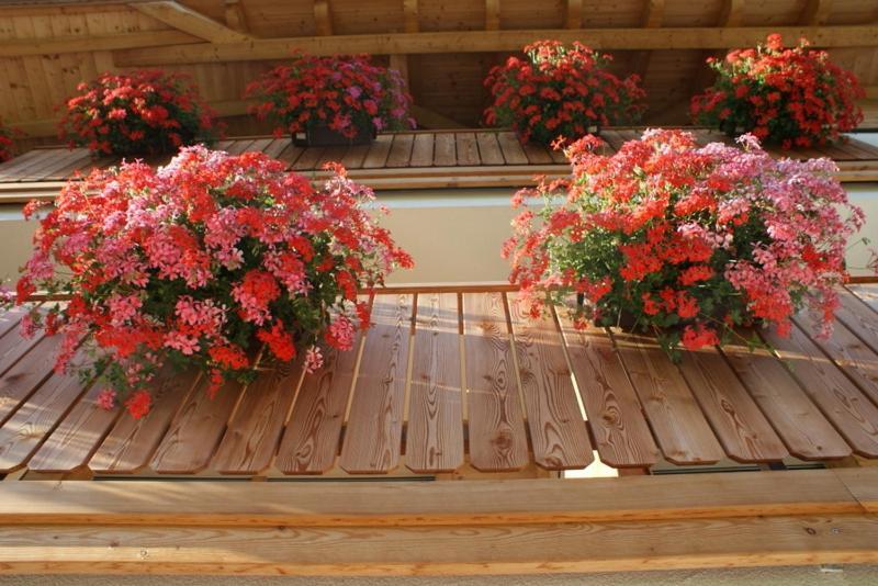 סן קנדידו Appartements Josef Lercher מראה חיצוני תמונה